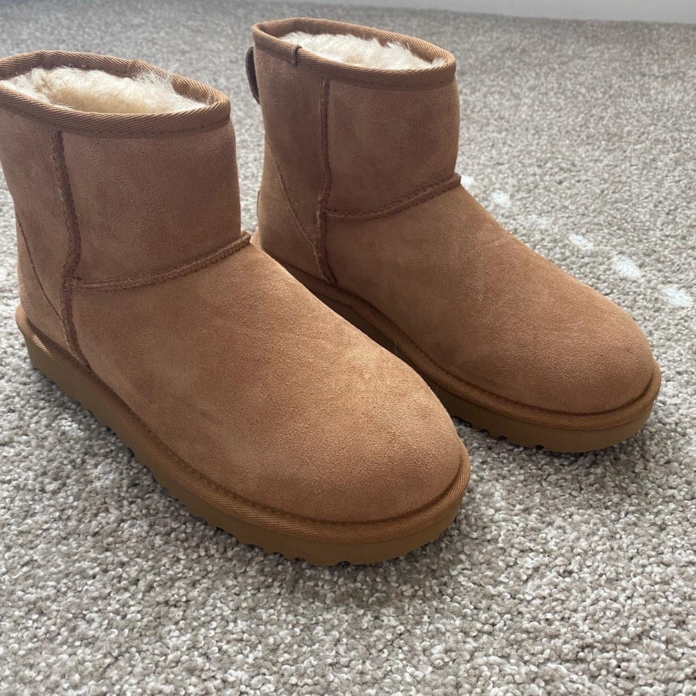 UGG Mini II Boot - Chestnut
